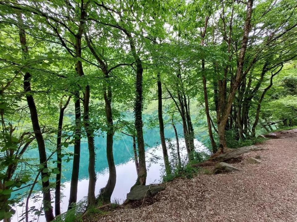 Casa Bosco Apartman Levico Terme Kültér fotó